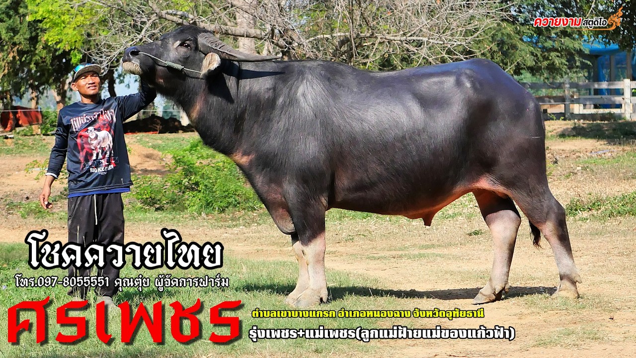 ทำความรู้จัก