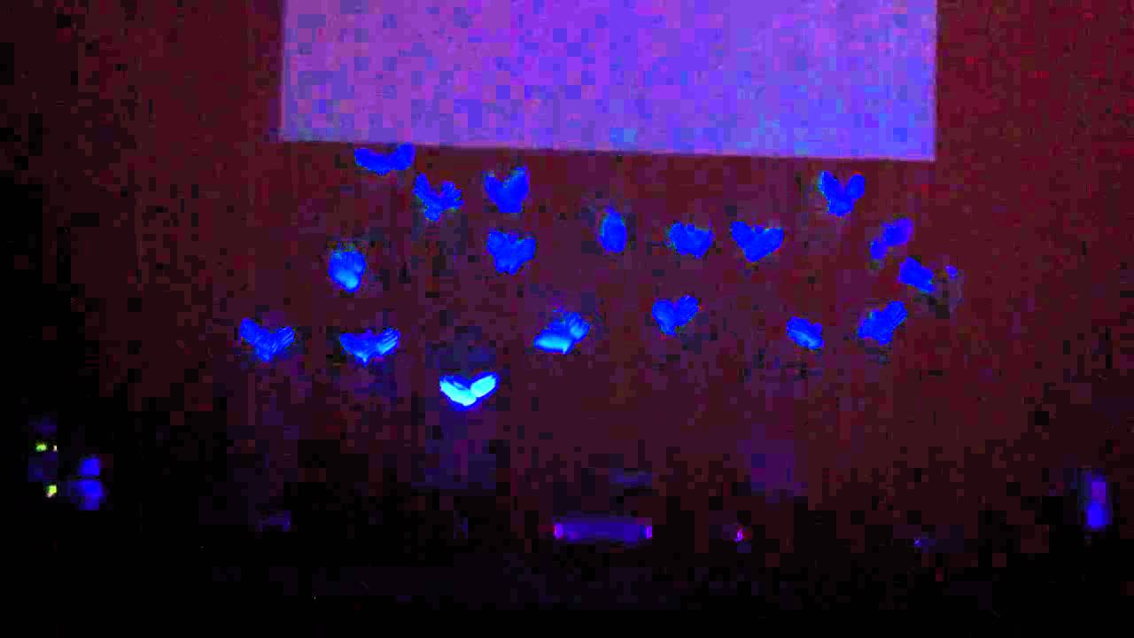 성탄절 전야행사 청년부 Black Light YouTube