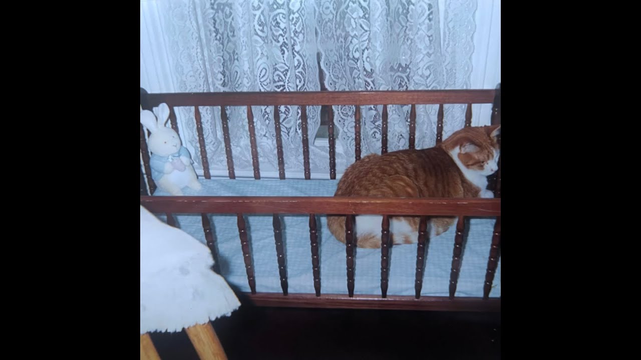 sign crushes motorist + i don’t like mirrors + slowcore type beat - “hurts”