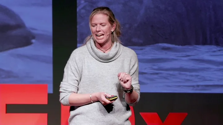 The dolphin dating game  | Nicola Hodgins | TEDxTr...