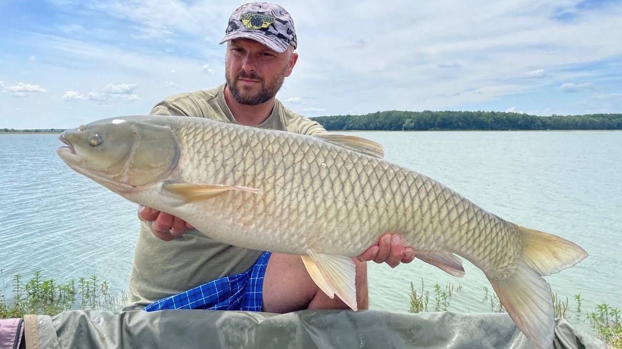 Prvi put- Šandor Miagro