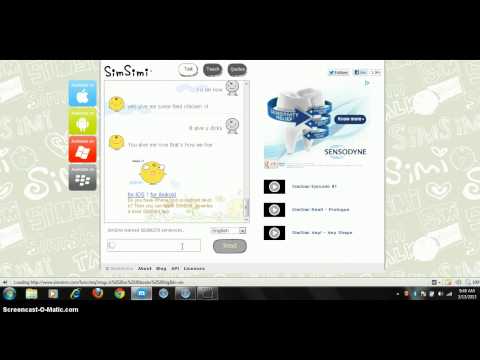 My simsimi project