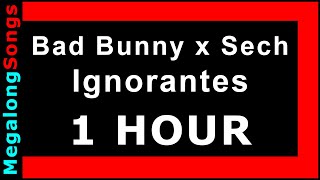 Ignorantes - Bad Bunny Feat. Sech 🔴 [1 hora] 🔴 [1 HOUR] ✔️