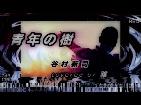 青年の樹」 singer〜