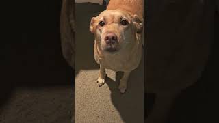 Ruby saying Hello to Youtube.... Information