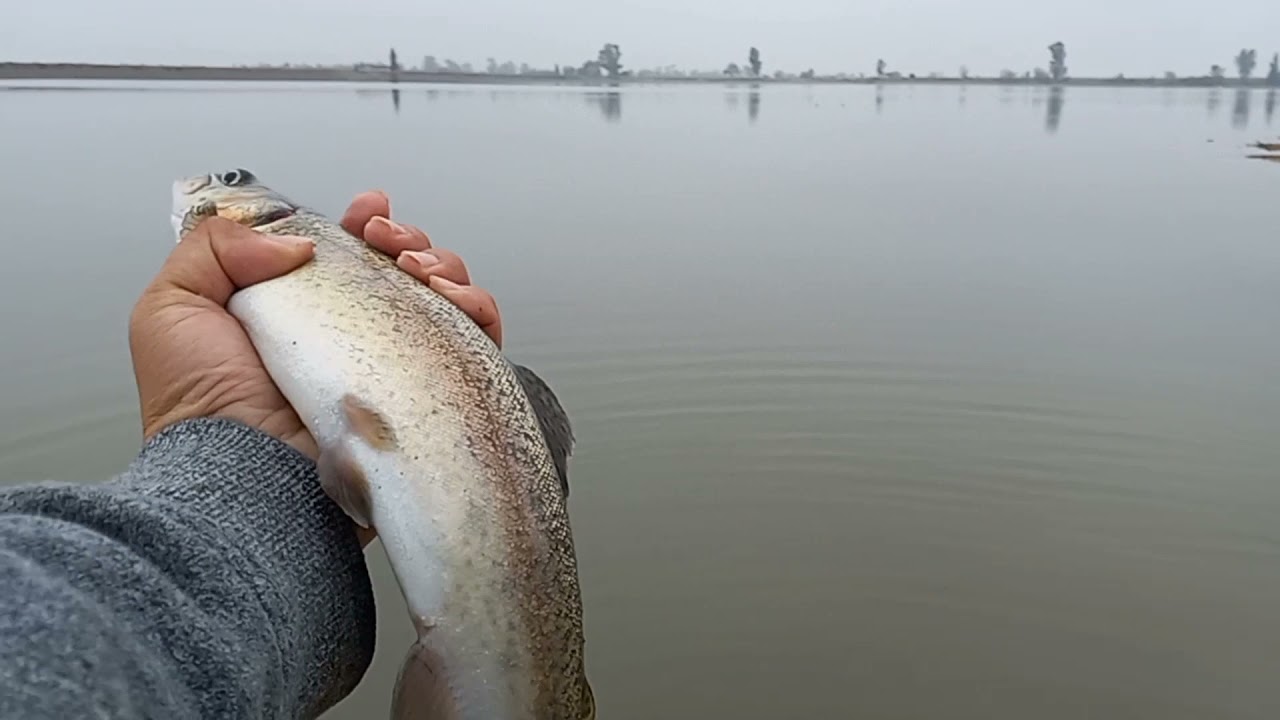 Trout fishing Yosemite lake bite nonstop YouTube