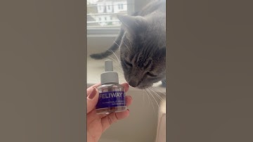 FELIWAY MultiCat Cat Calming Plug In Pheromone Diffuser Starter Kit #Amazonreviews #cat