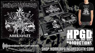 Violent Testimony - Insectual Penetration (from Aggravate on Horror Pain Gore Death / HPGD)