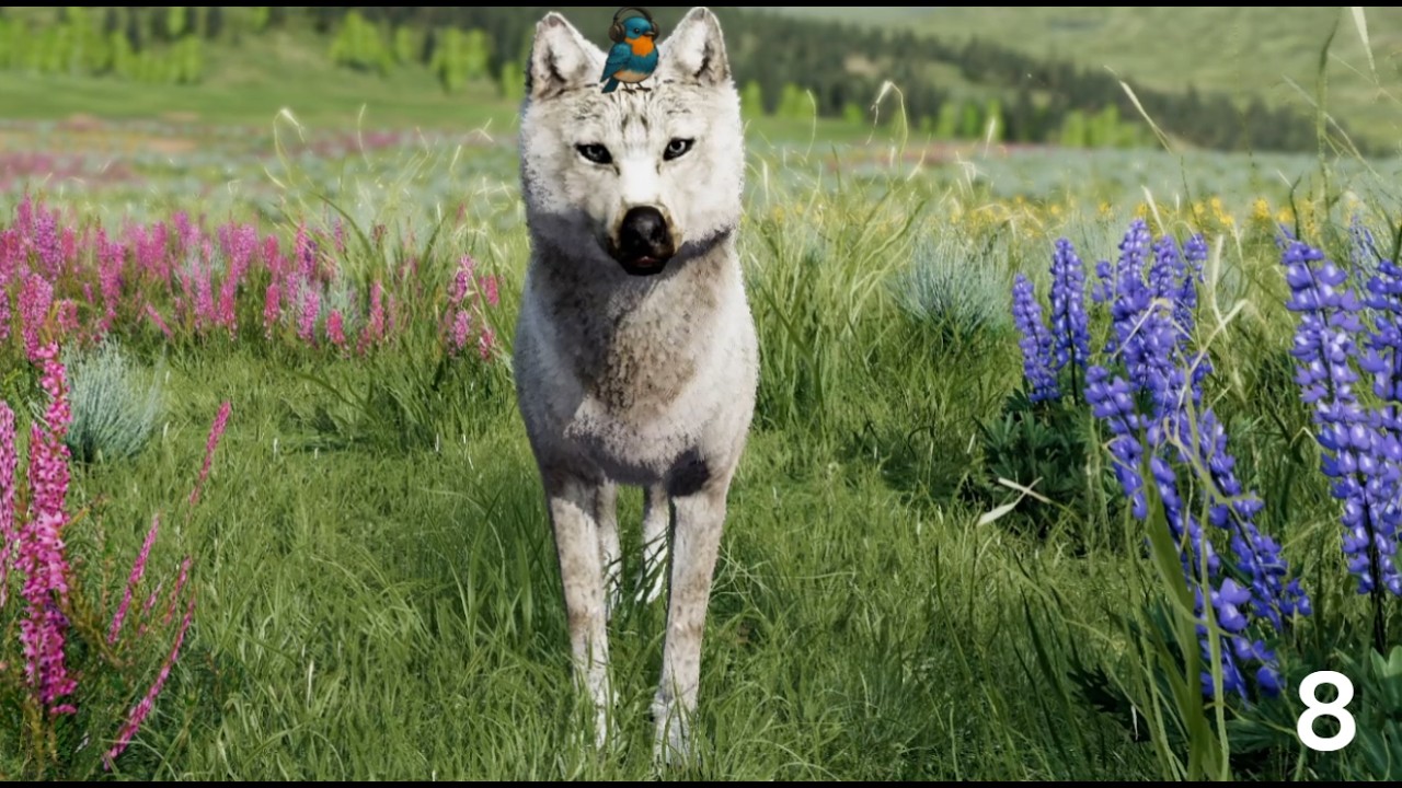 WolfQuest e8