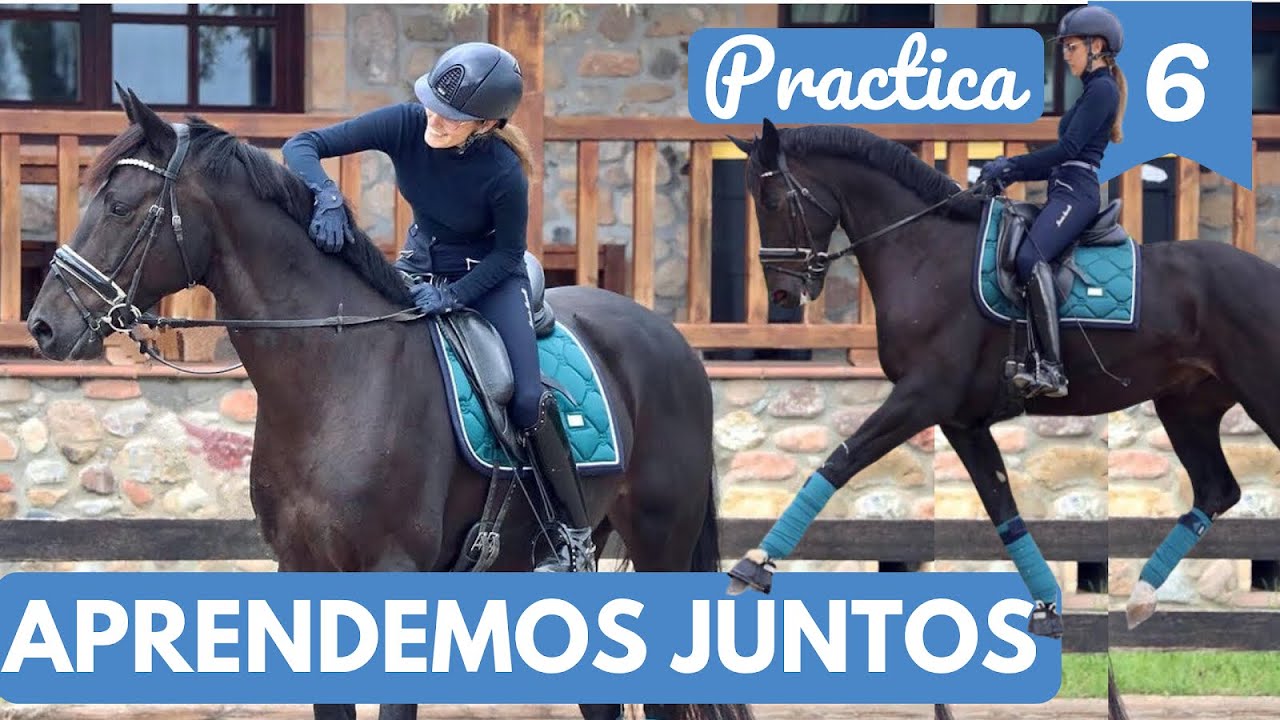 Aprende a galopar 🏇 ajustar estribos y cincha, desensillar, quitar brida 🐴