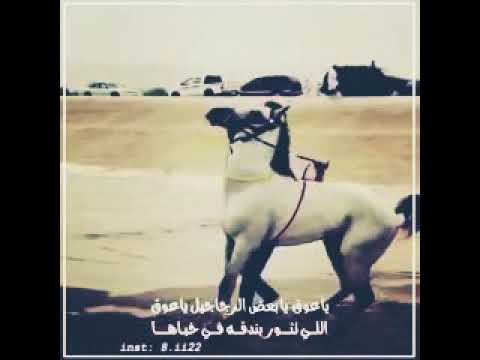 القلوب ألوآن و الني ة عيون و البشر مآ بين مزمار و طبل بين شعره عقل و أنوآع الجن ون صآفي 