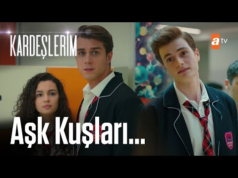 Berk, Asiye ve Doruk'a sataşıyor! - Kardeşlerim 14. Bölüm