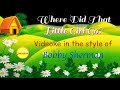 Where Did That Little Girl Go - Videoke in the style of Bobby Sherman