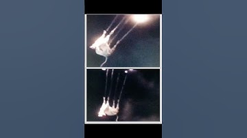 Are These Photos Proof of Alien Cattle Mutilation?