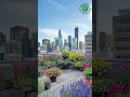 Transform Your Rooftop into a GREEN OASIS! (Unlock Secret Garden Designs) #fyp #ytshorts #rooftop