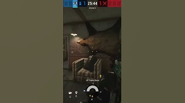 3 tips for wamai #r6 #siege #r6tips #operator
