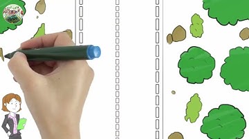 Signalisation horizontale