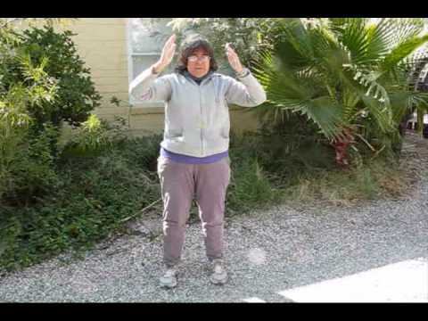 Meridian Qigong intro and starting form