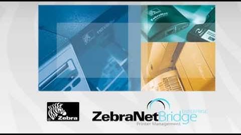 AbeTech Introduces ZebraNet Bridge