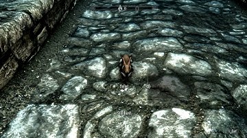 Skyrim mod of the day: Faithful Rabbit Companion