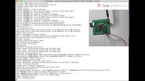 Booting Embedded Linux on the HaneSOM module