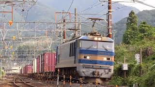 EF510 -504 牽引 貨物列車 (3095レ) 新疋田 (南城踏切 )