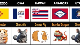 Favorite Pets In Every Us State