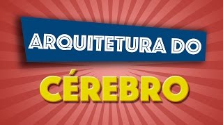 Conceitos Fundamentais: 1 - As experiências moldam a arquitetura do cérebro