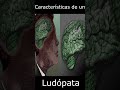 Características de un ludópata