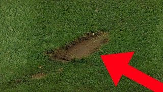 MLB Destroying the Field (HD)