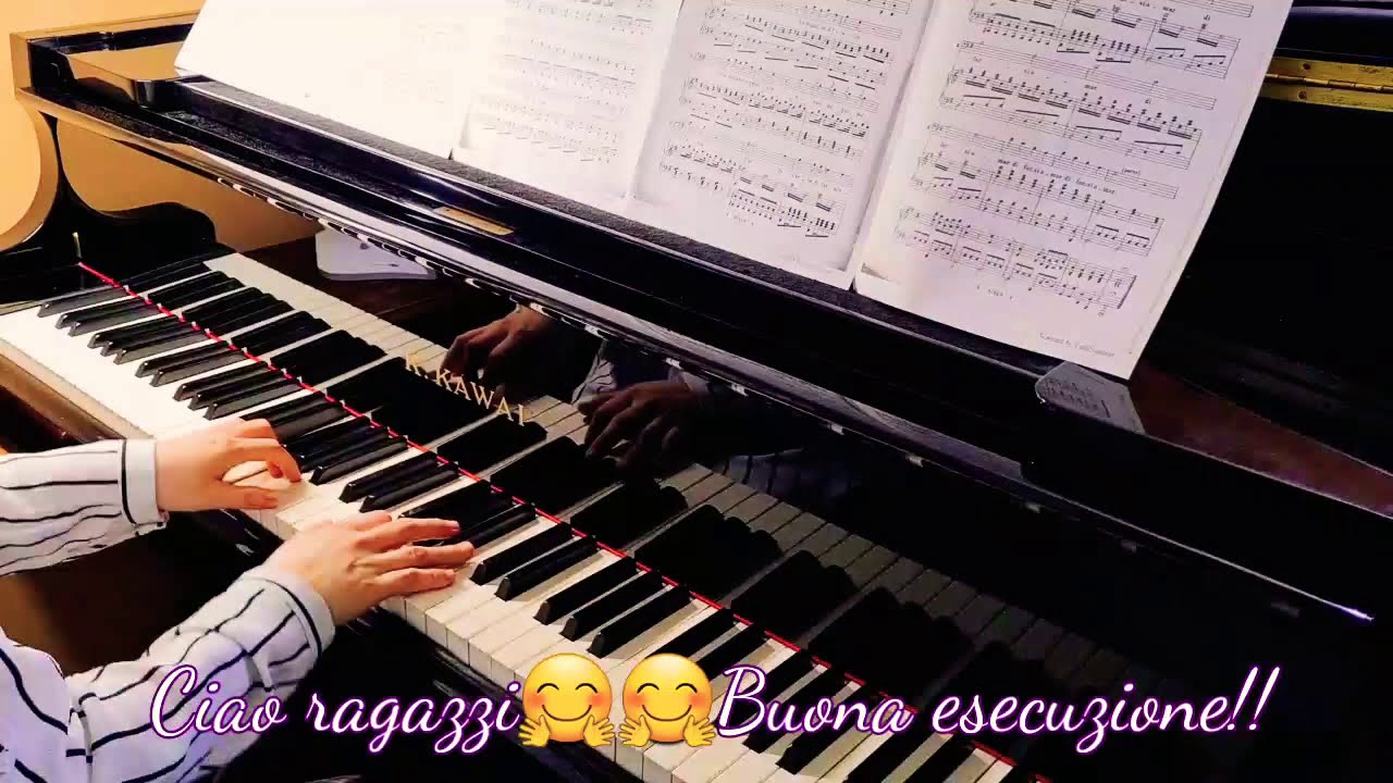 Le femmine d'Italia / L'italiana in Algeri-G.Rossini #Accompaniment #성악반주 #声乐伴奏 #Karaoke