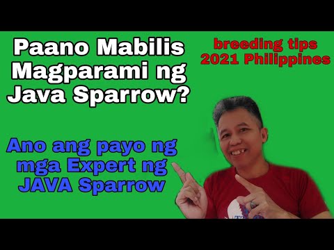 Paano Mabilis Dumami