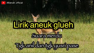 Lirik aneuk glueh “suara merdu tgk anil dan tgk yusri pase