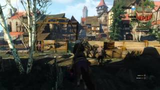 The Witcher 3: Wild Hunt Jesus Horse Walk above the Water (invisible bridge glitch)