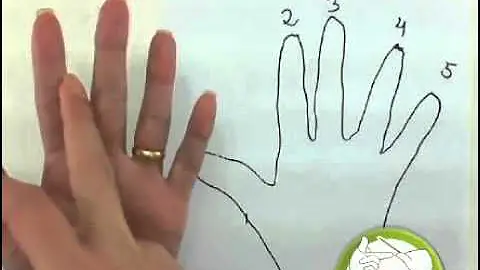 Qual o nome que se dá aos dedos da mão?