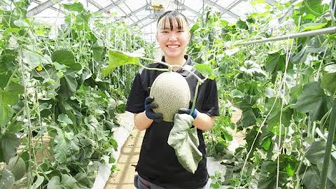農大生の日常 - 天天要聞