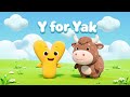 Y for Yak | Learn Alphabet ABC | LittleBloom