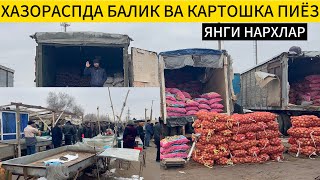 :      Ȩ  15 02 25