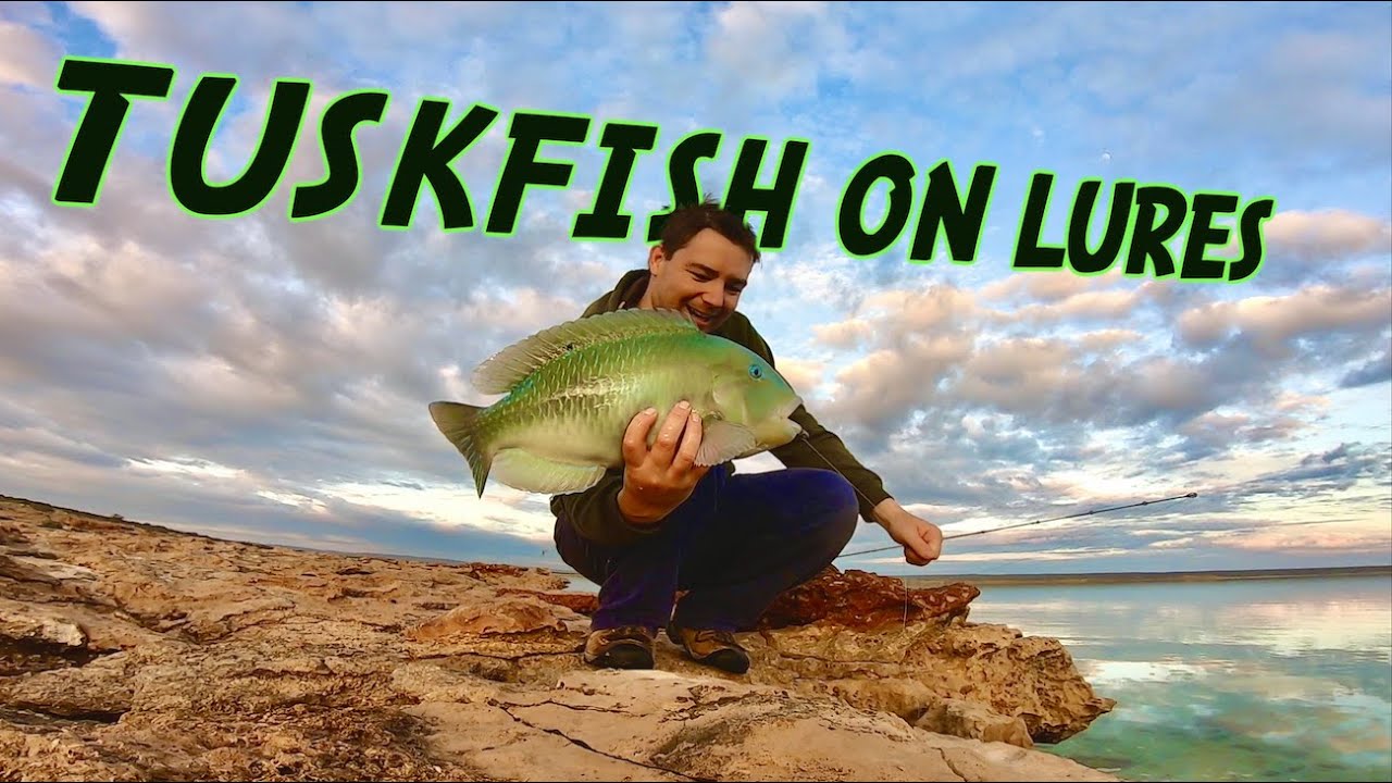 These Fish Do Eat Lures YouTube