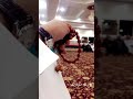 كل ما سولفت وسجيت وسليت اداء منصور الوايلي