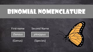 Binomial Nomenclature | Classification