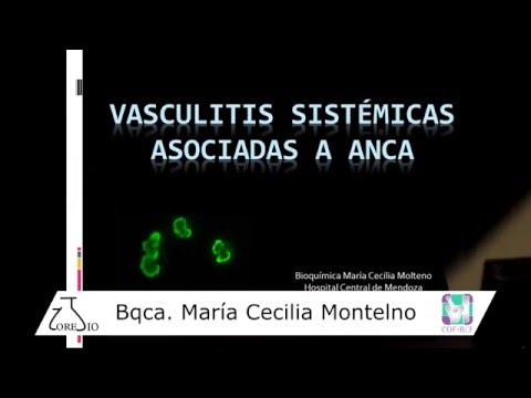Vídeo: Células T-helper Como Nuevos Jugadores En Vasculitis Asociadas A ANCA