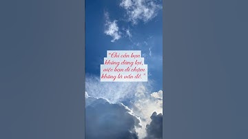 câu nói truyền động lực, câu nói hay, ý nghĩa cuộc sống #baihoccuocsong #dongluc #trietlycuocsonghay