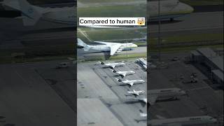 Things that are bigger than you think 🧐 Part - 34 #2025 #biggest #trending #popular #shorts #viral