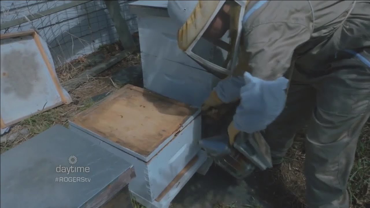 Beekeeping 101