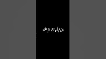 قران كريم بصوت امير صفاء العبيدي
