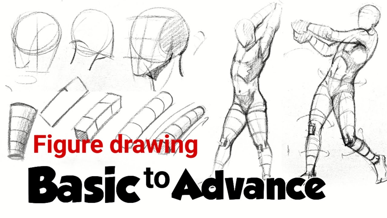 Basic to advance || Figure drawing tutorial || step by step || - YouTube