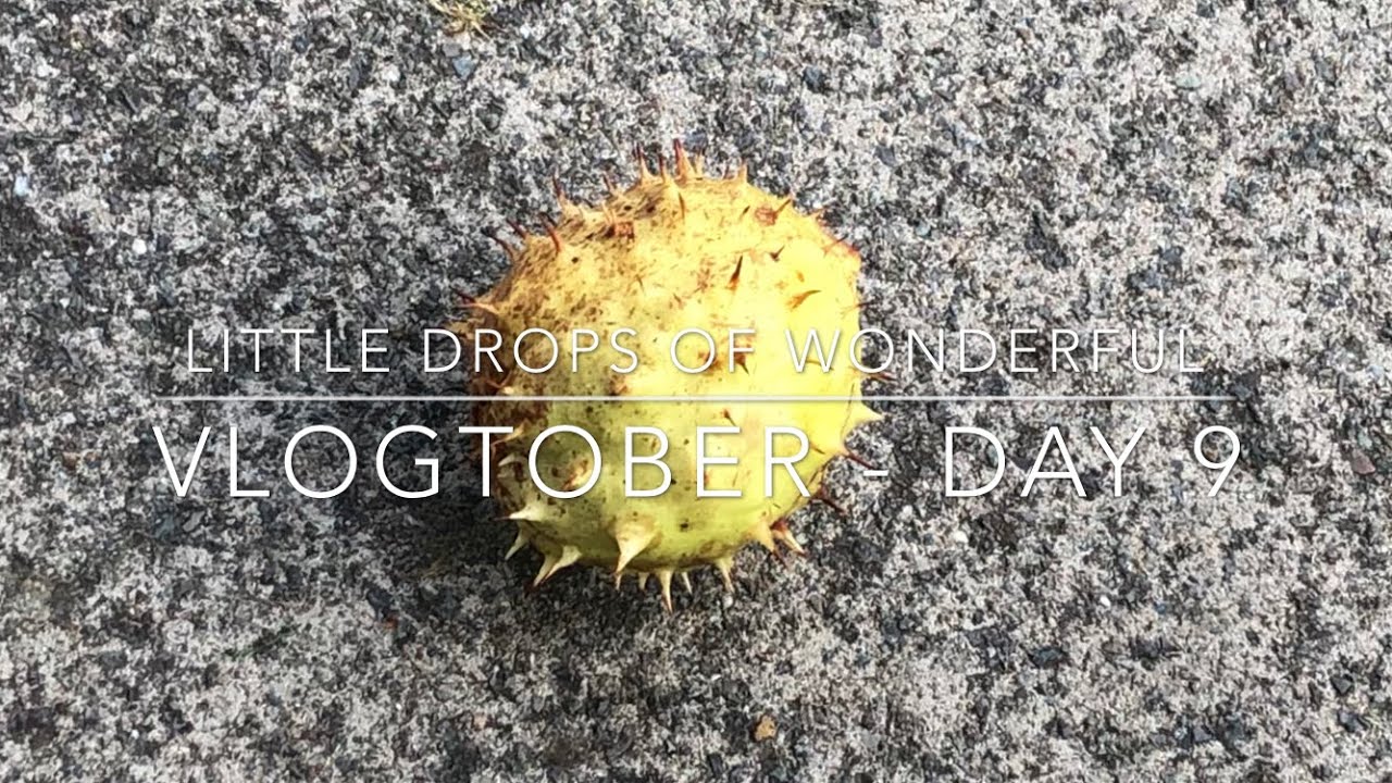 vlogs in spanish Day 9 - Vlogtober - Little Drops of Wonderful