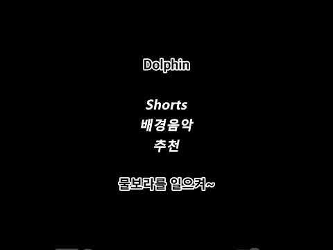 Dolphin - 오마이걸