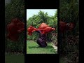 - Laal Dupatta -